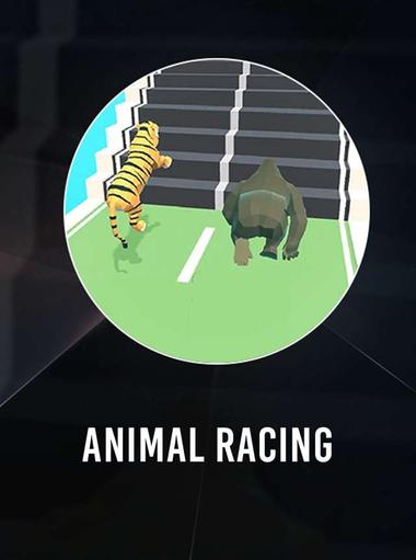 Hayvan Yarışı