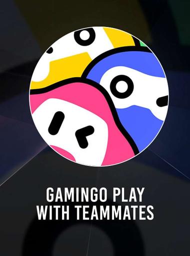 Gamingo: Chơi cùng đồng đội