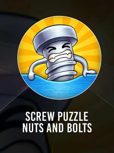 Screw Puzzle: Nuts and Bolts