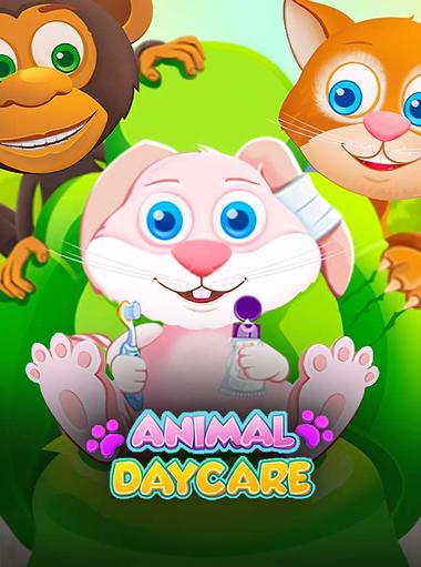 Animal Daycare