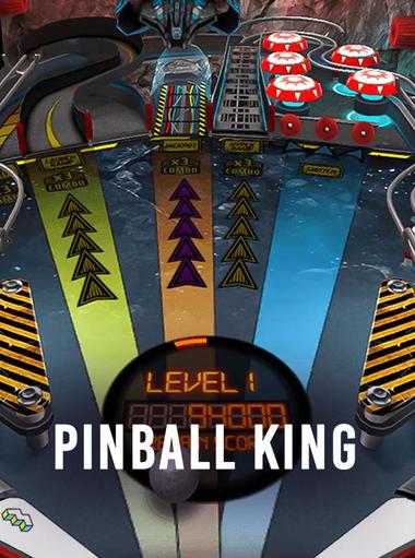 Pinball raja