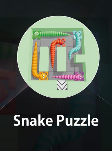 Snake Puzzle