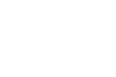 巔峰極速