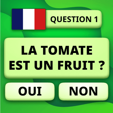 QuizzLand : quiz intelligent