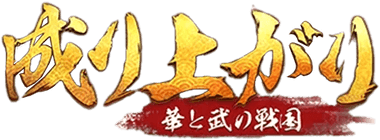 成り上がり　華と武の戦国