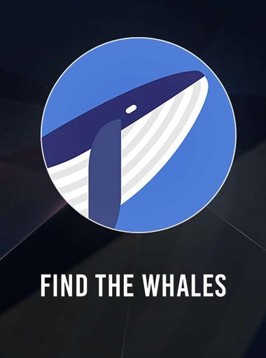 Find the Whales