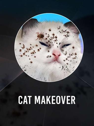 Makeover Kucing