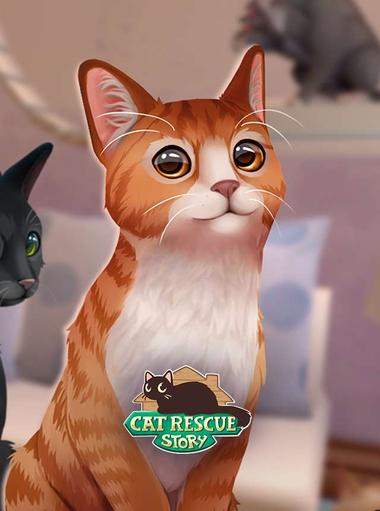 Cat Rescue Story: gioco gatto