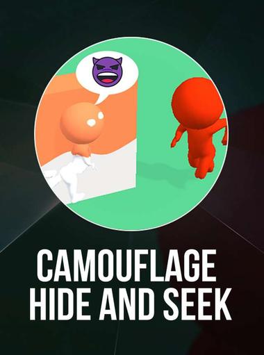 Camouflage Hide and Seek