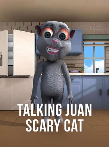Talking Juan Scary Cat