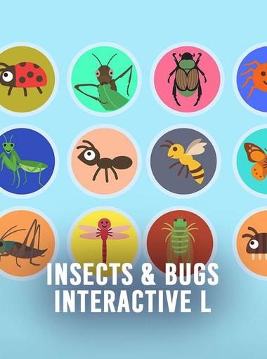 Insects & Bugs – Interactive L