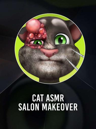 Cat ASMR: Salon Makeover