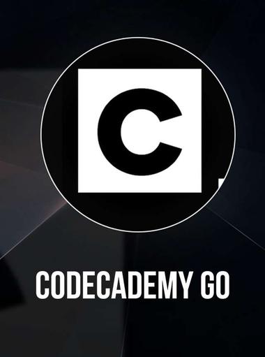 Codecademy Go