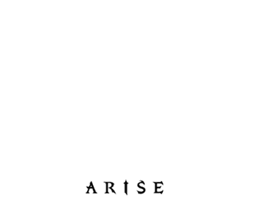 Solo Leveling:Arise