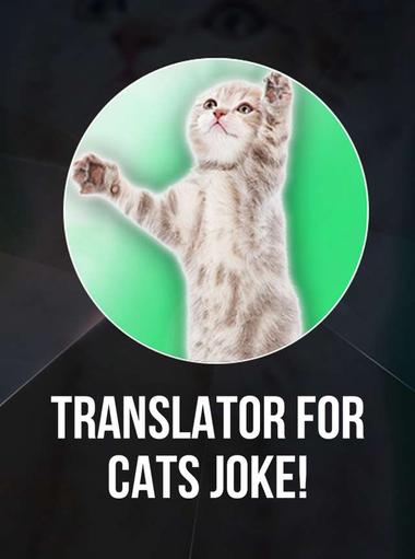 Người phiên dịch cho mèo (đùa)