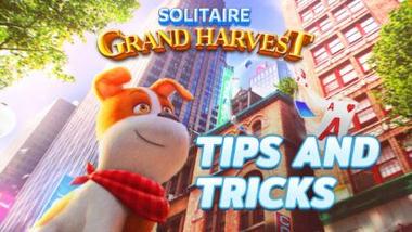 The Best Solitaire Grand Harvest Tips and Tricks to Clear Stages and Build Your Farm