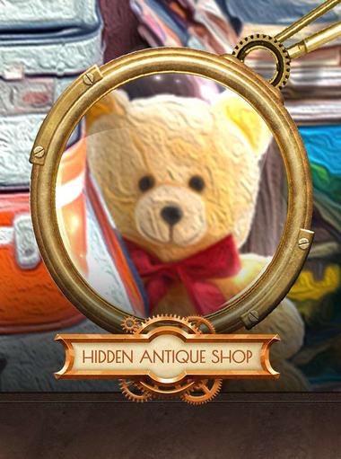 The Hidden Antique Shop