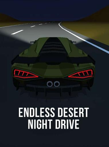 Endless Desert Night Drive