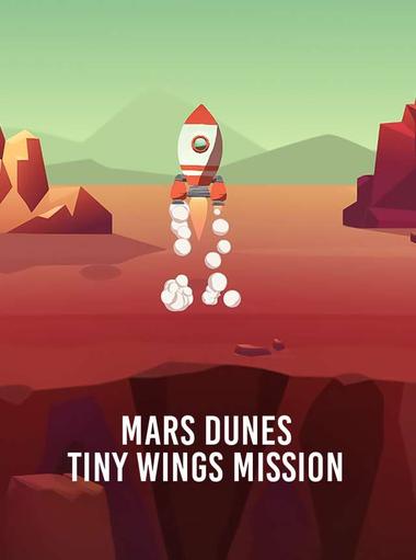 Mars dunes: tiny wings mission