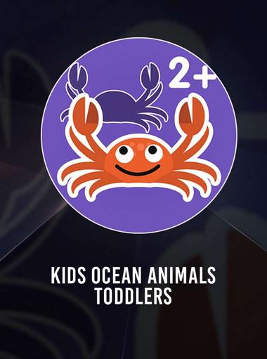 Kids Ocean Animals - Toddlers