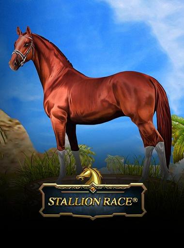 Stallion Race